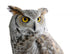 Canadian Owl Wall Decal