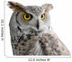 Canadian Owl Wall Decal