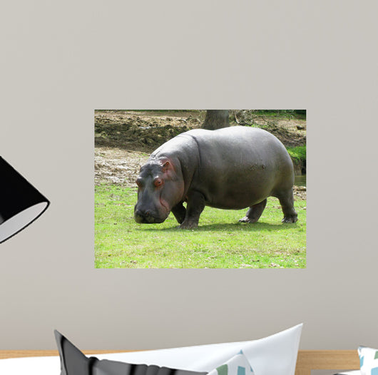 Hippopotame Wall Decal