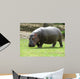 Hippopotame Wall Decal