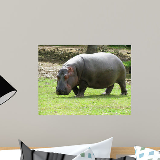 Hippopotame Wall Decal