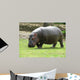 Hippopotame Wall Decal