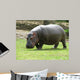 Hippopotame Wall Decal