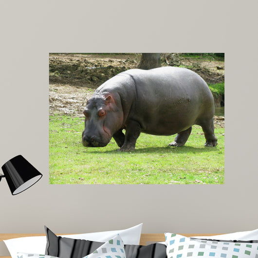 Hippopotame Wall Decal