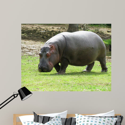 Hippopotame Wall Decal