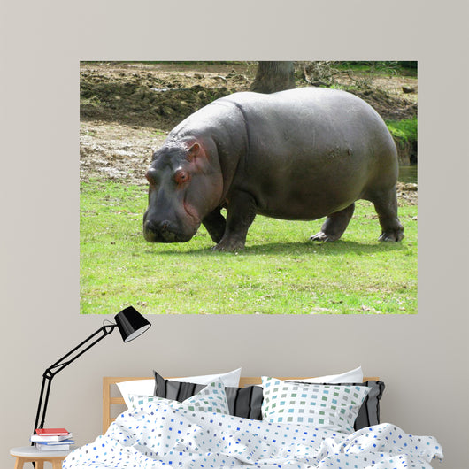 Hippopotame Wall Decal