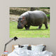 Hippopotame Wall Decal