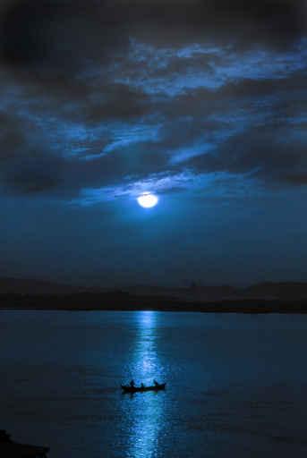 Moonlight Wall Decal