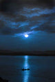 Moonlight Wall Decal