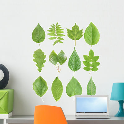 Green Leaves Wall Stickers Wall Decal shown on a wall