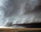 High Plains Monster Wall Decal