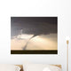 Kansas Twister Wall Decal