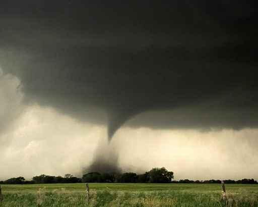 May Twister Wall Decal