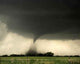 May Twister Wall Decal