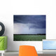 Tornado Warning Wall Decal