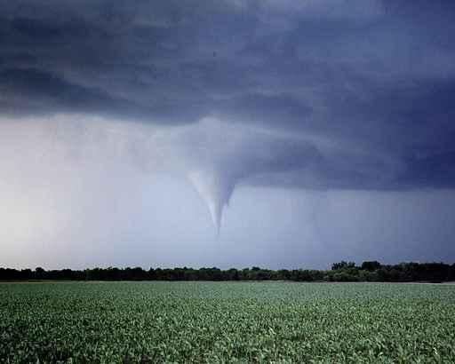 Tornado Warning Wall Decal