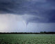 Tornado Warning Wall Decal