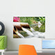 Feng Shui Wall Decal