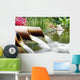 Feng Shui Wall Decal