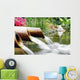Feng Shui Wall Decal