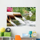 Feng Shui Wall Decal