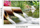 Feng Shui Wall Decal
