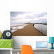 Snow Makes Patterns Maine Wall Mural