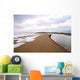 Snow Makes Patterns Maine Wall Mural