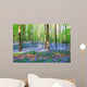 Bluebell Hyacinths Hallerbos Belgium Wall Decal Design 2