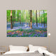 Bluebell Hyacinths Hallerbos Belgium Wall Decal Design 2