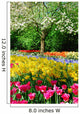 Spring Flowers Keukenhof Holland Wall Decal