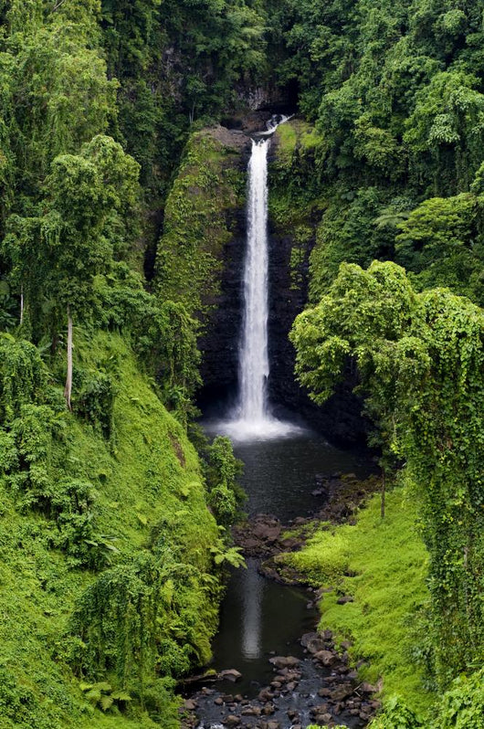 Waterfall Samoa Surrounded Lush Wall Decal