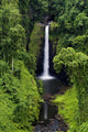 Waterfall Samoa Surrounded Lush Wall Decal