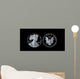 Proof American Silver Eagle Wall Decal