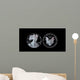 Proof American Silver Eagle Wall Decal