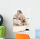 Brown Bunny with Glasses Wall Decal