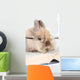 Brown Bunny with Glasses Wall Decal