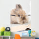 Brown Bunny with Glasses Wall Decal