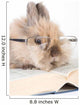 Brown Bunny with Glasses Wall Decal