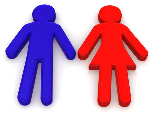 Male and Female Signs Wall Decal