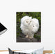 Snow Owl Wall Decal