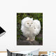 Snow Owl Wall Decal