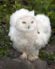 Snow Owl Wall Decal