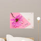 I'm Sorry Wall Decal