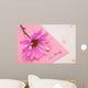 I'm Sorry Wall Decal