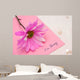 I'm Sorry Wall Decal
