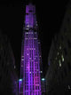 New York City Skyscraper Wall Decal