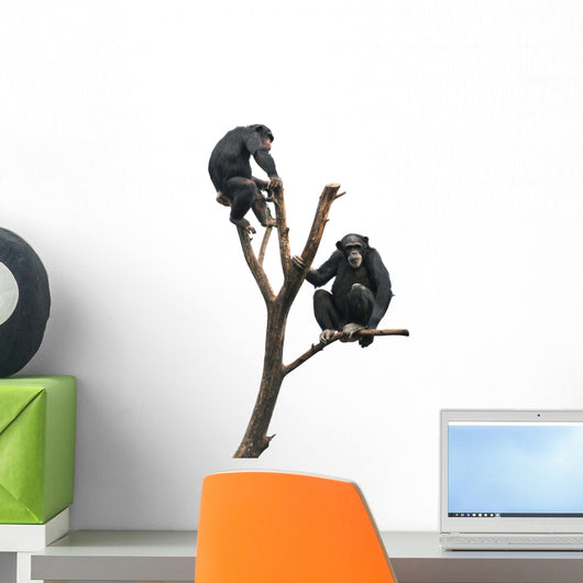 Chimpanzees on a Bare Tree Wall Decal