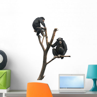 Chimpanzees Bare Tree Wall Decal shown on a wall