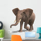 Huge Elephant Wall Decal